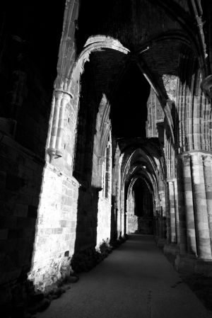 whitby abbey april 2012 5 sm.jpg